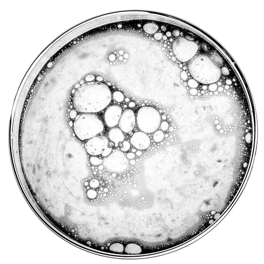 Pure Creamy Cleanser